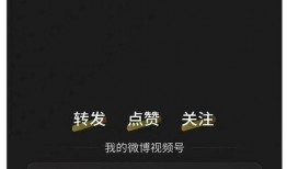 二舅最新爆料,揭秘娱乐圈惊人内幕