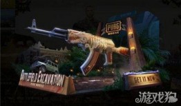 最新爆料和平精英皮肤,平精英最新皮肤曝光，神秘特效引玩家热议！