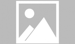 石家庄教校爆料最新消息,重大改革动态揭秘