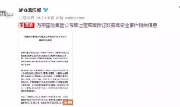 纳维莱特最新爆料消息是真的吗,真相还是炒作？