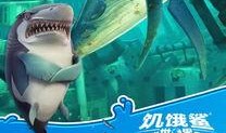 饥饿鲨世界 最新爆料,全新爆料揭秘海洋霸主进化之路